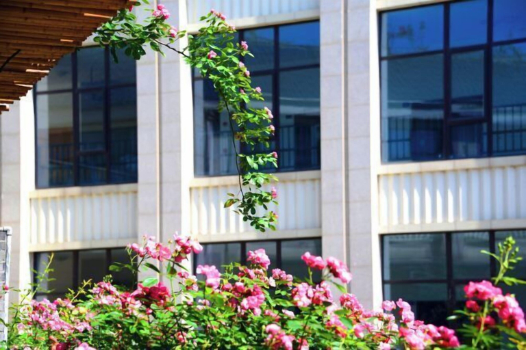 Exterior & Views 1, Poli Garden Hotel, Leshan