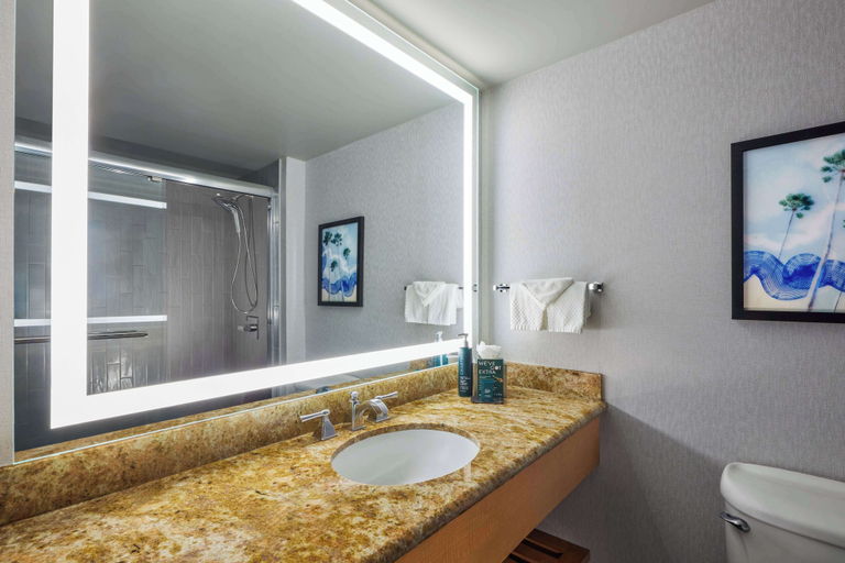 Bathroom 4, Hotel Fera Anaheim, a DoubleTree by Hilton, Orange