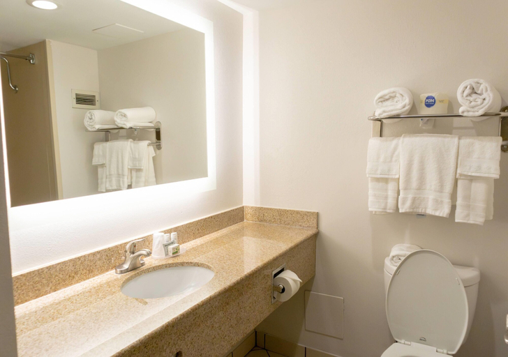 Bathroom 4, Elimwood Hotel, a Ramada by Wyndham, Saint Louis