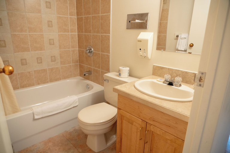Bathroom 3, Rocky Mountain Ski Lodge, Division No. 15