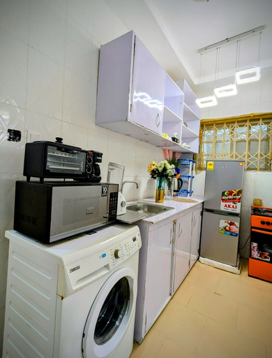 Others 4, Paris homestay, Tema