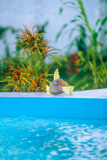 Sport & Beauty 5, La Perla Beach Resort, Zanzibar - Your Beachfront Private Haven, Kaskazini 'A'