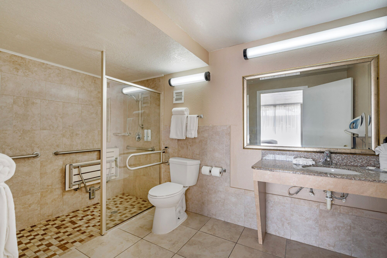 Bathroom 4, Quality Inn & Suites Conference Center, Pasco