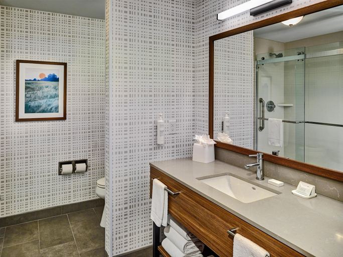 Bathroom 4, Hampton Inn Pigeon Forge, Sevier