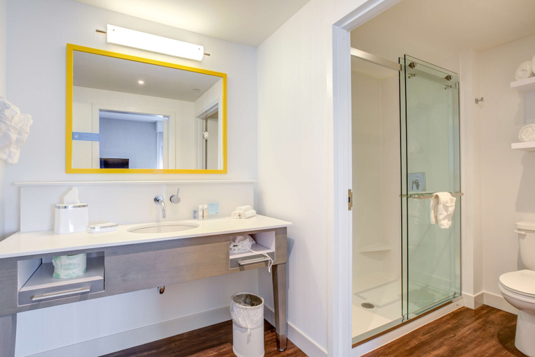 Bathroom 4, Hampton Inn & Suites Boston/Waltham, Middlesex