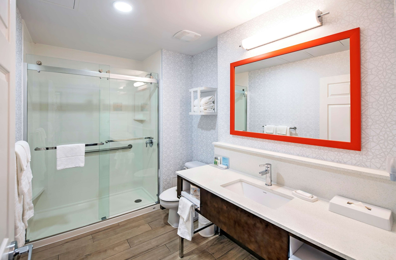 Bathroom 4, Hampton Inn by Hilton Ottawa, Ottawa