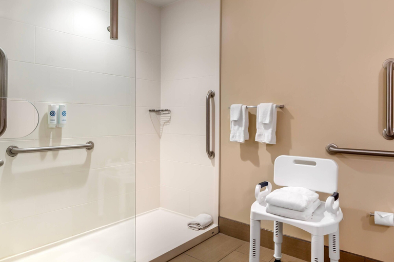 Bathroom 4, Comfort Suites Florence - Cincinnati South, Boone
