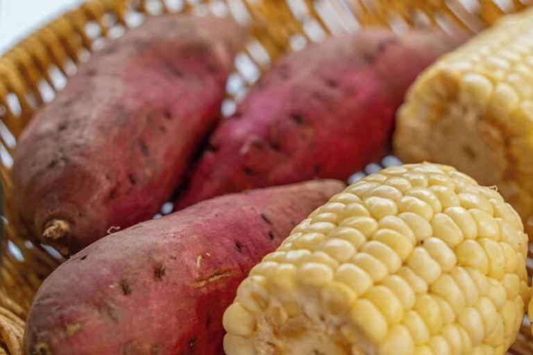 Food & Drinks 5, Longquan Xiangyuan Shared Farm, Hainan