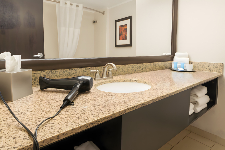 Bathroom 4, Branson Hillside Hotel, Taney