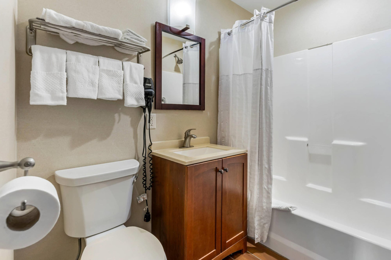 Bathroom 4, Comfort Inn & Suites Triadelphia - Wheeling, Ohio