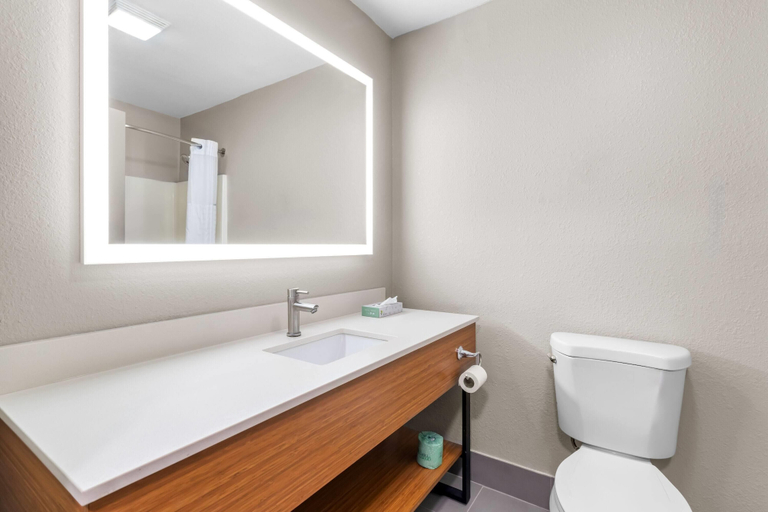 Bathroom 4, Days Inn & Suites by Wyndham Ridgeland, Madison