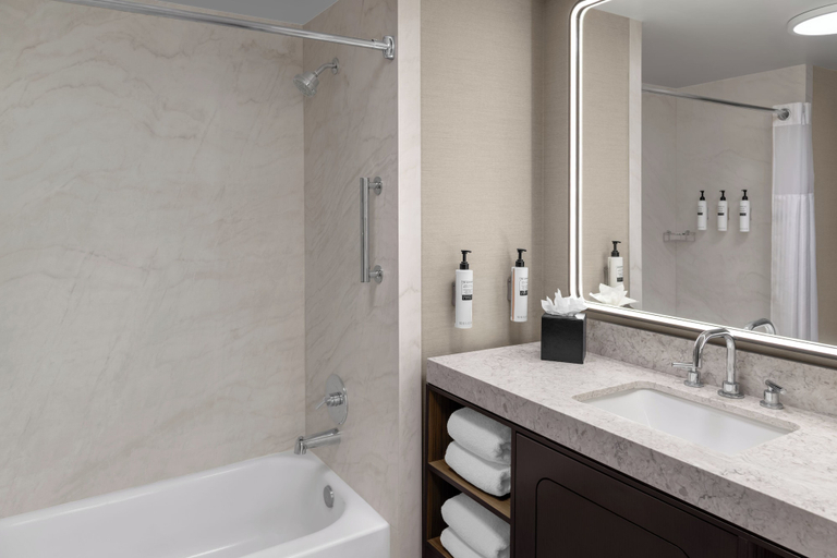 Bathroom 4, Embassy Suites San Antonio Riverwalk-Downtown, Bexar