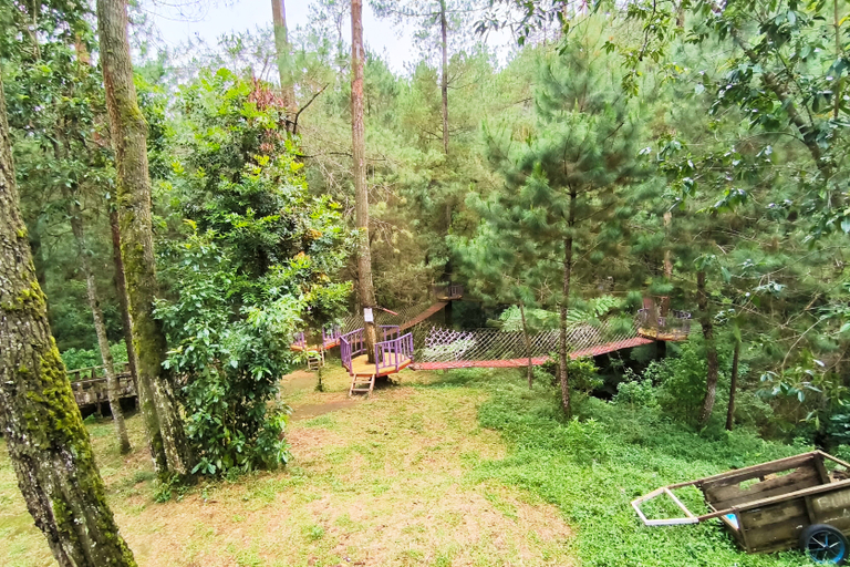 Others 4, Spekta Merbabu powered by Cocotel, Semarang