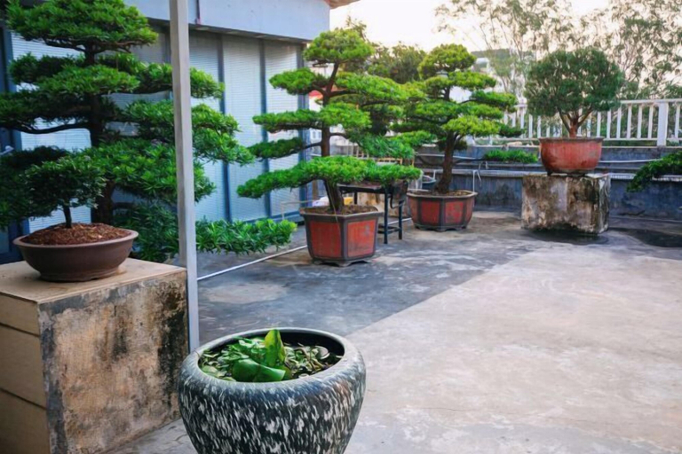 Others 5, Royal Holiday Hotel Shenzhen, Shenzhen