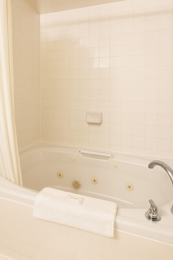 Bathroom 5, Village Inn & Suites, Lambton