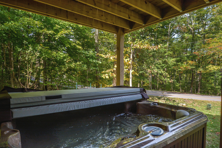 Sport & Beauty 2, Lakestar Chalet by Taylor Made Deep Creek, Garrett