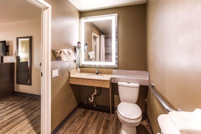 Bathroom 4, Econo Lodge Inn & Suites Murfreesboro Shopping District, Rutherford