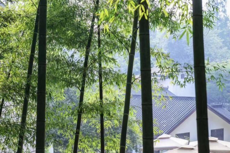 Exterior & Views 2, Emei Bamboo Hills Private Hot Spring Hostel, Leshan