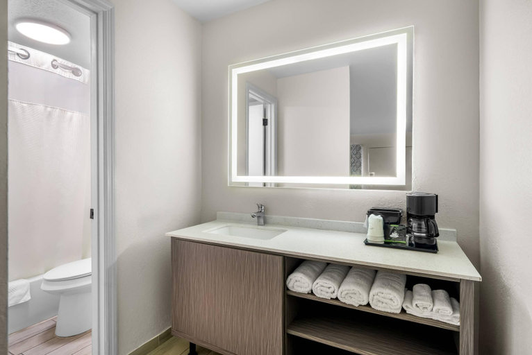 Bathroom 4, Rodeway Inn Lake Wales - Winter Haven, Polk
