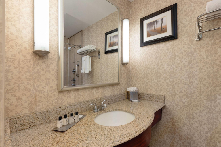 Bathroom 5, Wyndham Midland Downtown, Midland