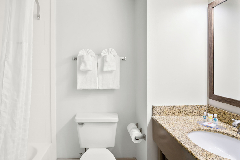 Bathroom 5, Comfort Inn Gold Coast, Worcester