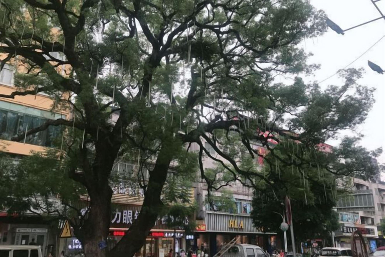 Exterior & Views 2, Vienna Hotel (Zhongshan Plaza), Hezhou