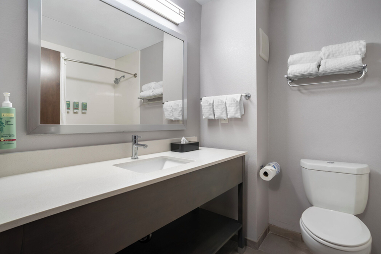 Bathroom 4, Best Western Brewton Inn, Escambia