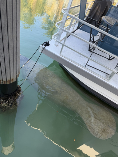 Others 5, Yacht Haven Marina, Monroe