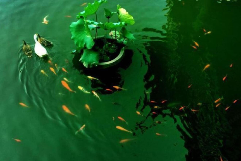 Others 4, Youjian Nanshan Hotel, Shaoxing