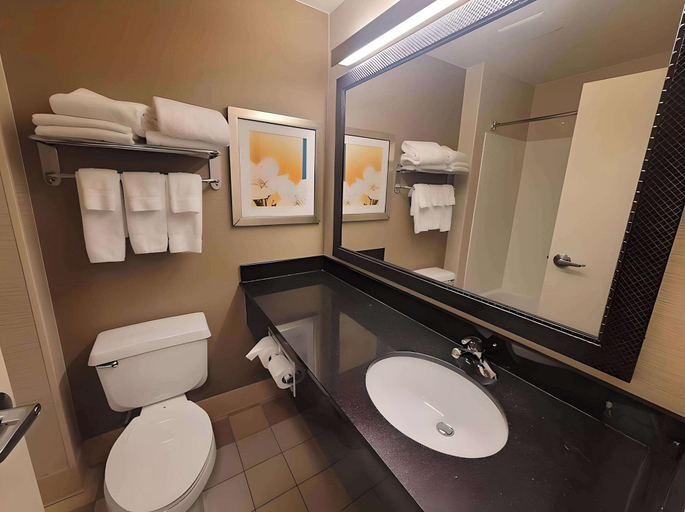 Bathroom 3, Dubuque Inn & Suites, Dubuque