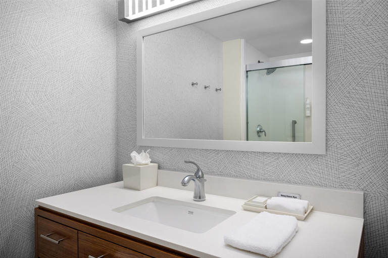 Bathroom 4, Home2 Suites by Hilton Minneapolis-Eden Prairie, Hennepin