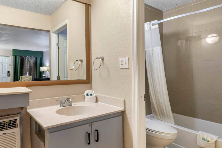 Bathroom 4, Rodeway Inn Clearwater - Dunedin, Pinellas