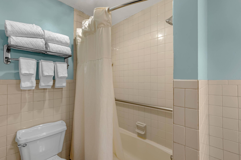 Bathroom 5, Windsor Hotel, an Ascend Collection Hotel, Sumter