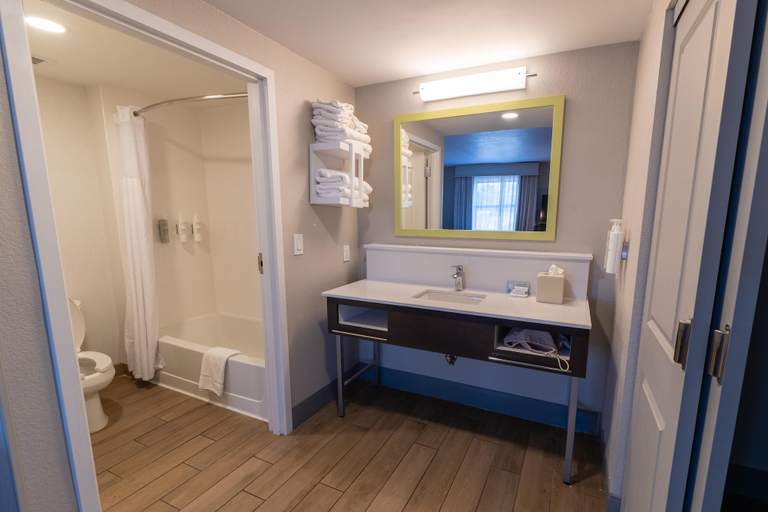 Bathroom 4, Hampton Inn & Suites Florence-Downtown, Lauderdale