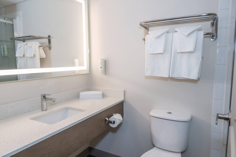 Bathroom 5, Quality Inn & Suites, Yukon