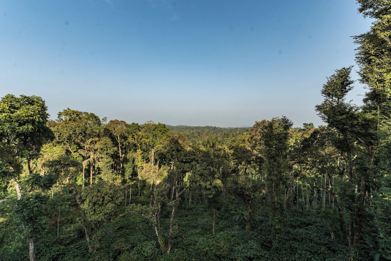 Others 5, Itsy Hotels Jammabane Cottage, Kodagu