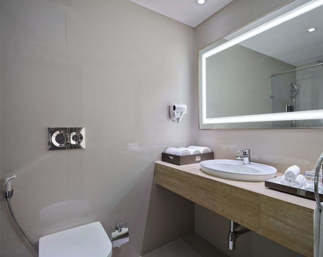 Bathroom 4, Hotel Swosti Premium, Khordha