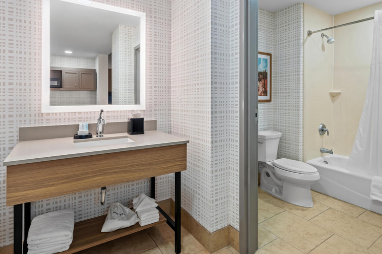 Bathroom 4, Hampton Inn & Suites Tifton, Tift