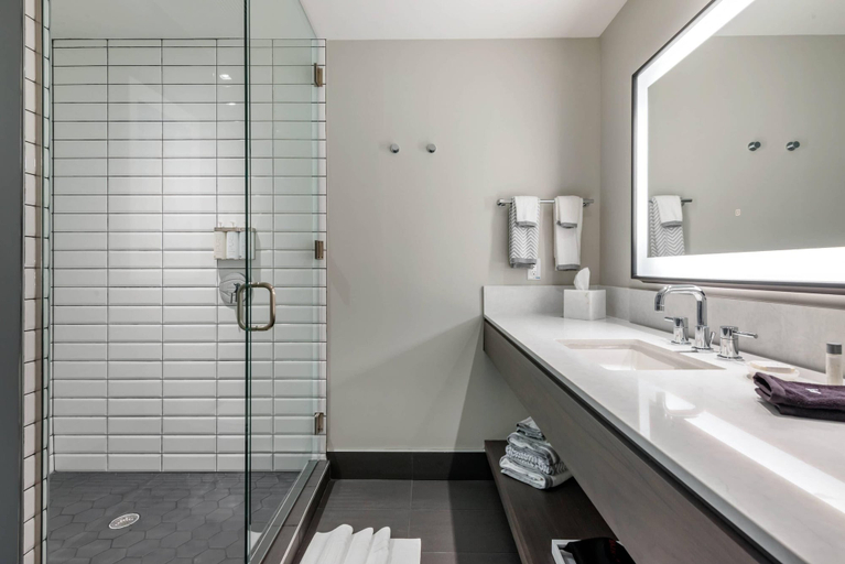 Bathroom 5, Cambria Hotel Houston Downtown Convention Center, Houston
