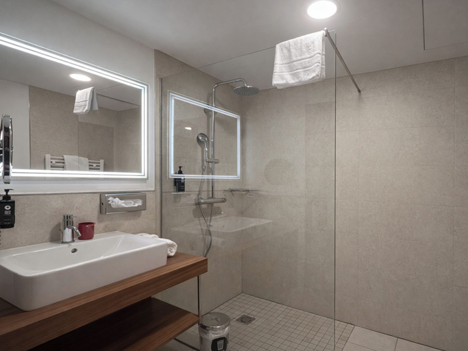 Bathroom 4, DORMERO DeHo Linz, Linz