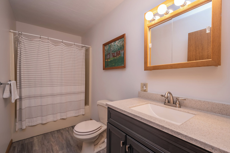 Bathroom 3, Bee Tree II by Taylor Made Deep Creek, Garrett