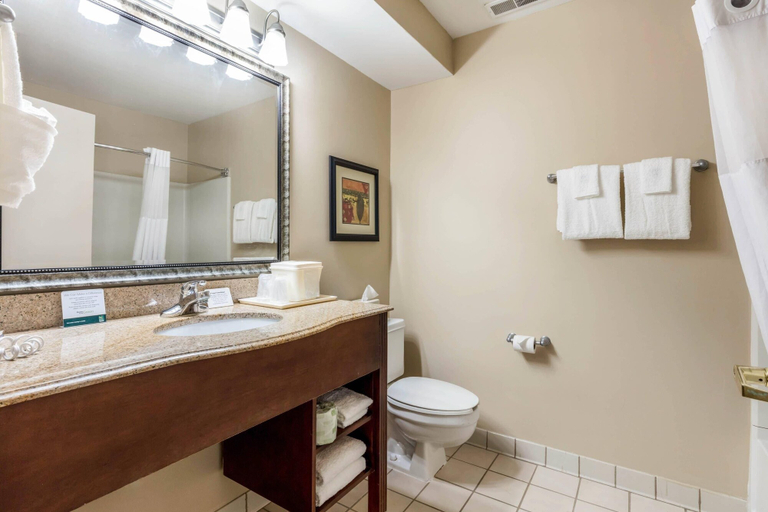 Bathroom 4, Quality Suites Paducah I-24, McCracken
