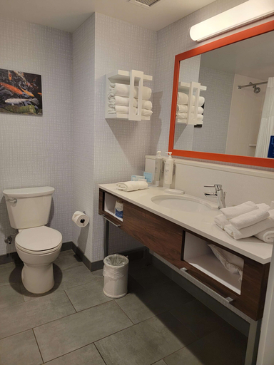 Bathroom 4, Hampton Inn & Suites Erie Bayfront, Erie