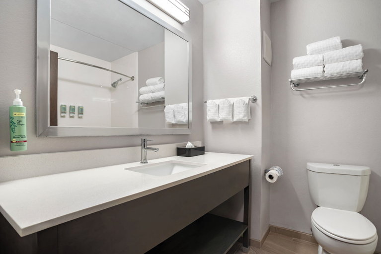 Bathroom 3, Best Western Brewton Inn, Escambia