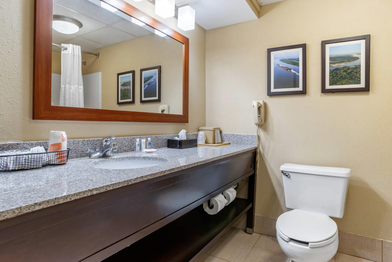 Bathroom 4, Comfort Inn Pearl-Jackson, Rankin