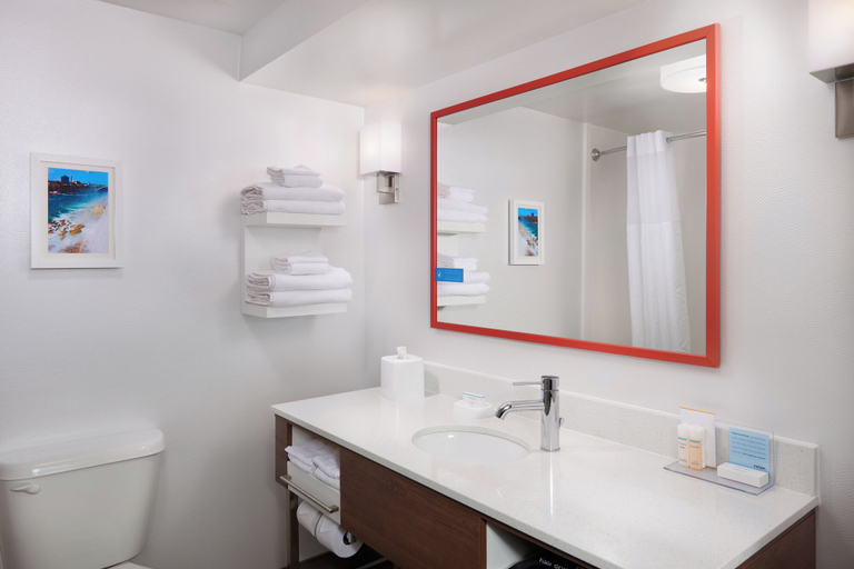 Bathroom 4, Hampton Inn Niagara Falls, Niagara