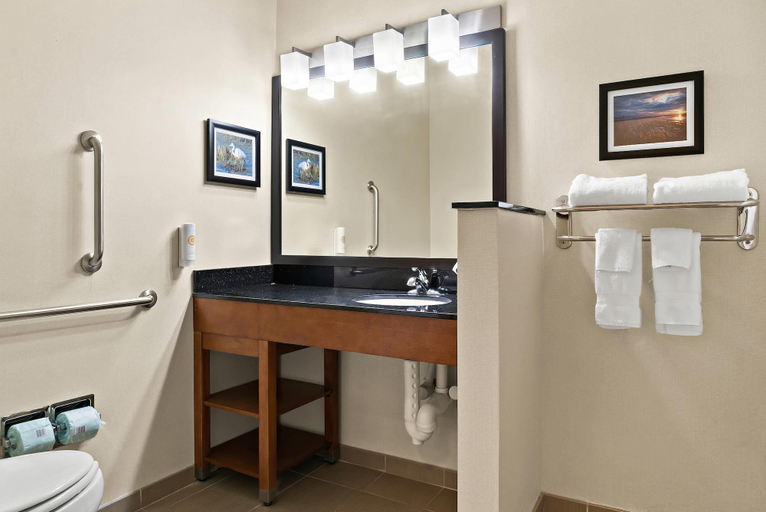 Bathroom 4, Comfort Suites Saginaw North, Saginaw