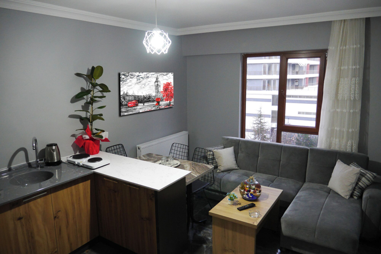 Others 3, DAĞKENT PLUS SUİT, Tokat