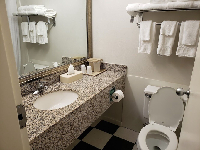 Bathroom 3, Comfort Inn Sandusky, Erie