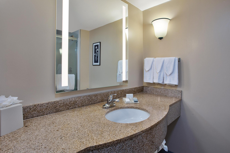Bathroom 4, Hilton Garden Inn Chesapeake/Greenbrier, Chesapeake